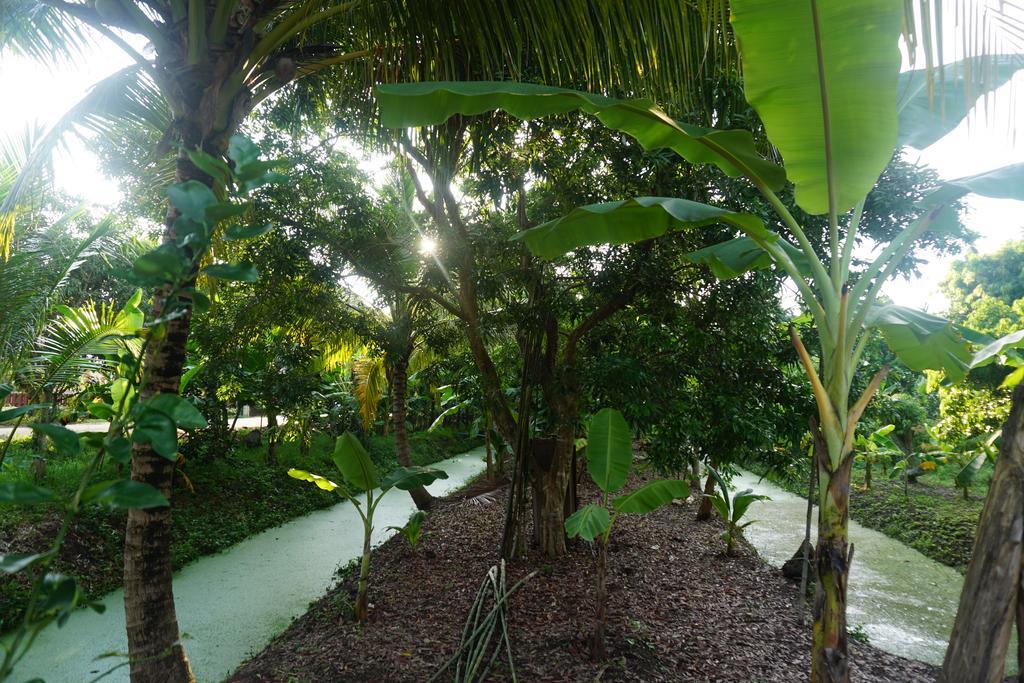 Meephawa Resort Amphawa Bagian luar foto